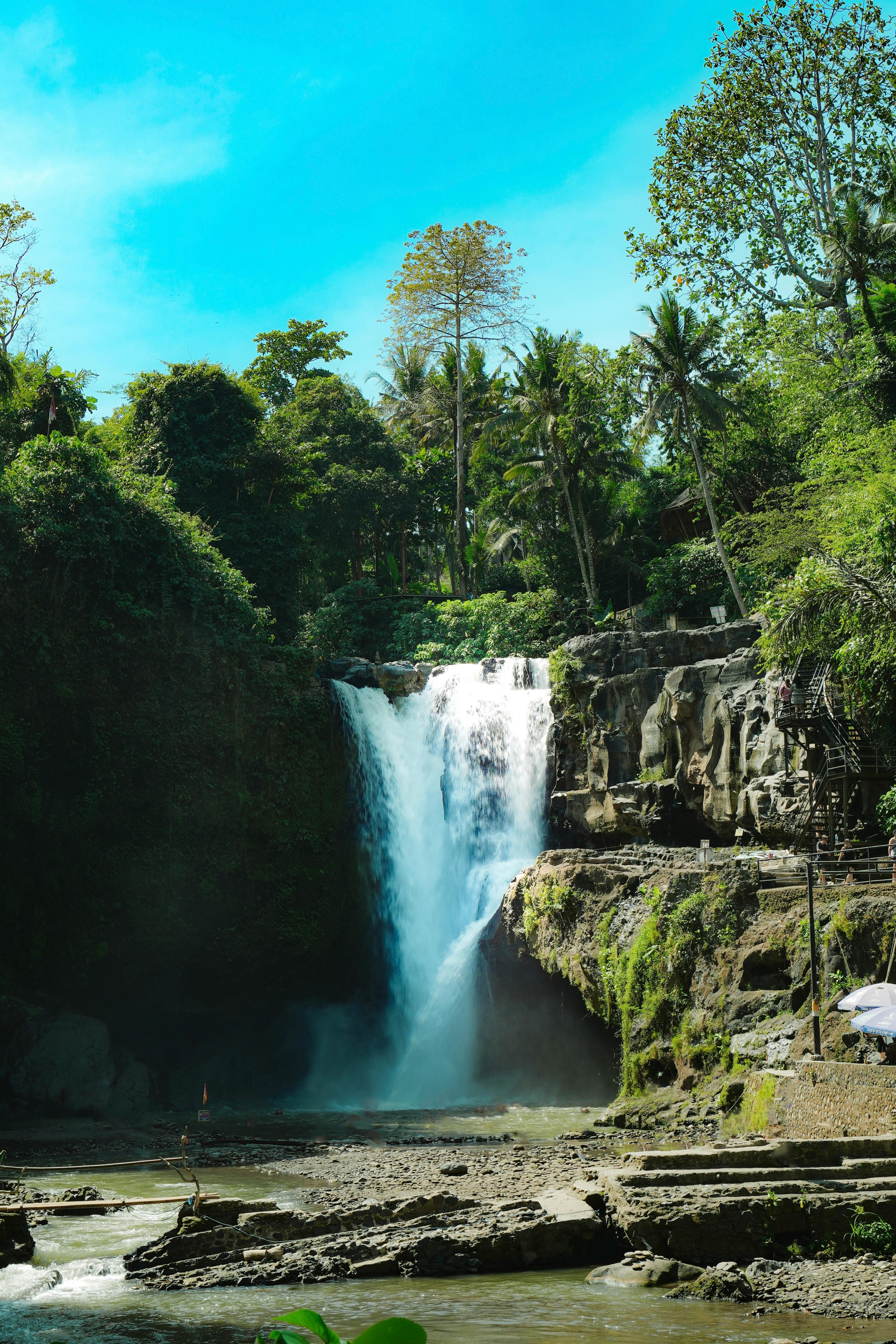 Beautiful waterfall cascading into natural pool surrounded by jungle